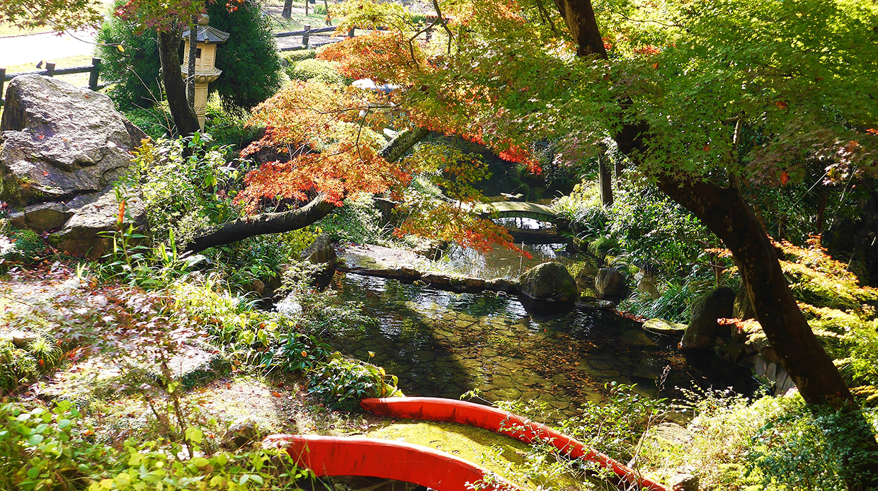 外の景色池木々